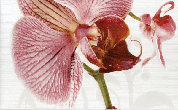 Relax панно Орхидея из 2-х шт PWU09RLX1 500х498