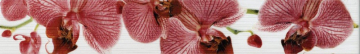 267081 Fiori бордюр Орхидея 40х6 PiezaROSA