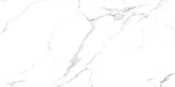 Carrara 50163 60x120 Articon
