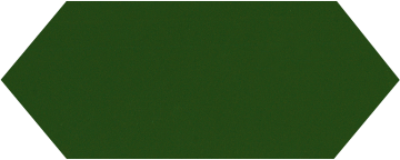 Cupidon Dark Green Brillo Liso 10х30 Monopole Ceramica
