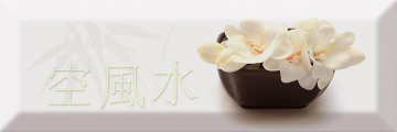 Decor Japan Tea 04 A 10X30 Absolut Keramika