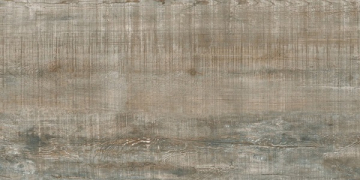 Granite WOOD EGO Grey / Гранит ВУД ЭГО Серый ASR 120х60 Idalgo (Идальго)