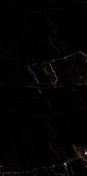 Marble Tropic Black 120x60 Artcer