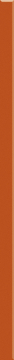 Uniwersalna Listwa Szklana Arancione 2,3х60 Paradyz