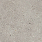 SG519920R Риккарди серый светлый матовый обрезной 60х119,5 Kerama Marazzi